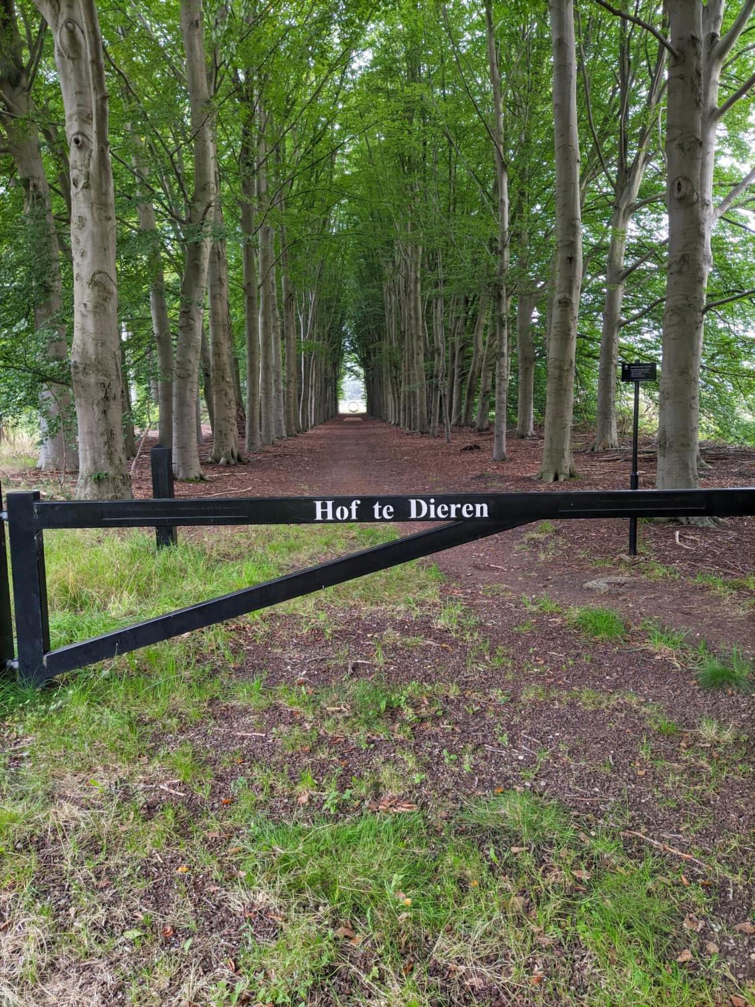 Villa Benvenuto Dieren Exteriör bild